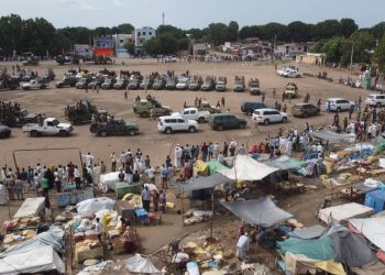 الدعم السريع تلقي القبض علي بعض المتفلتين بأحداث النيل