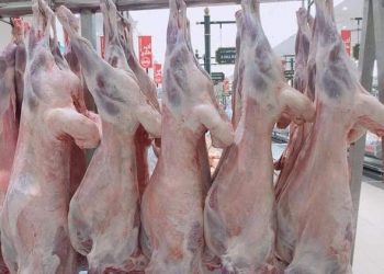 شكاوي من أحجام عدد من الدول من استيراد اللحوم في الفترة الماضية
