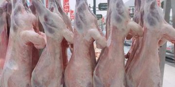 شكاوي من أحجام عدد من الدول من استيراد اللحوم في الفترة الماضية