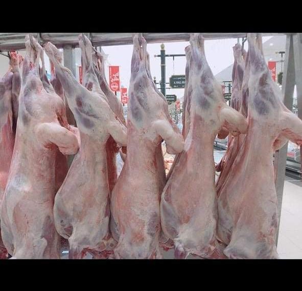 شكاوي من أحجام عدد من الدول من استيراد اللحوم في الفترة الماضية