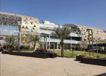 عسكري ينهي حياة ابن مسئول بارز