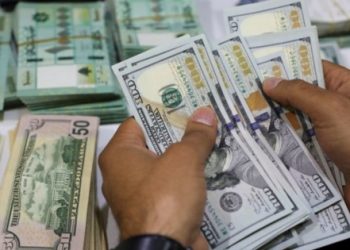 رسميا  (١١٩) جنيه زيادة في  الدولار الجمركي