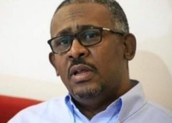 الإعلان الدستوري المرتقب يمنح ثلث مقاعد (التشريعي) للجان المقاومة