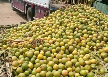 ضبط خمور مستوردة وسط شحنة قريب فروت