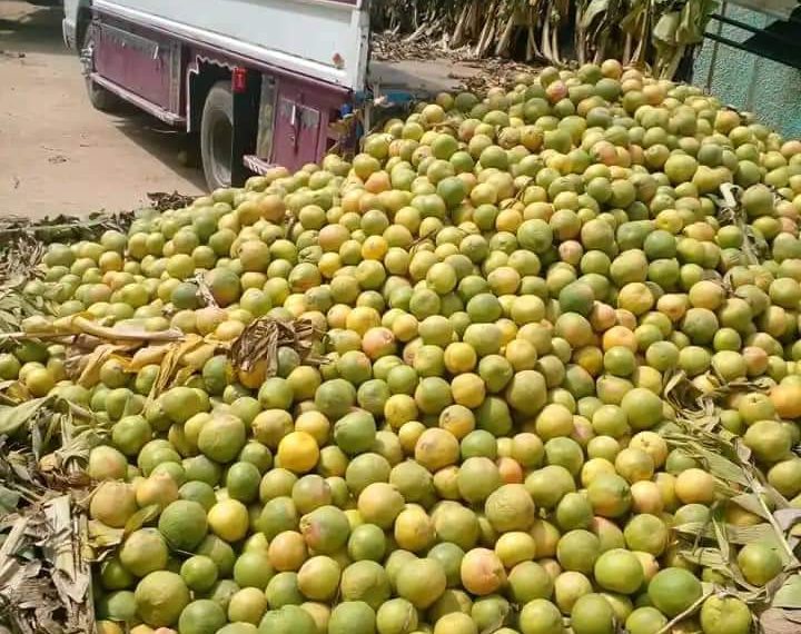 ضبط خمور مستوردة وسط شحنة قريب فروت