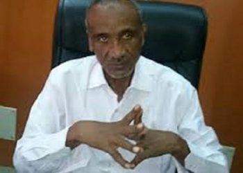 محمد احمد الشايب يكتب … فولكر ووكلاء التدخل الخارجي