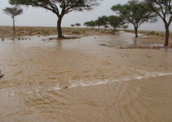 نهر الدندر يخرج من مجراه