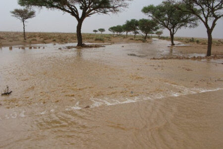 نهر الدندر يخرج من مجراه