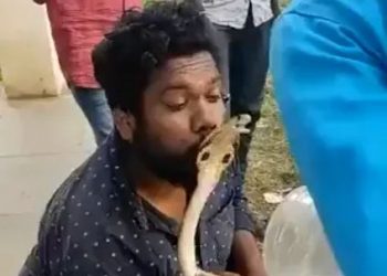 رجل يحاول تقبيل ثعبان كوبرا.. ويجد  الرد  الفوري