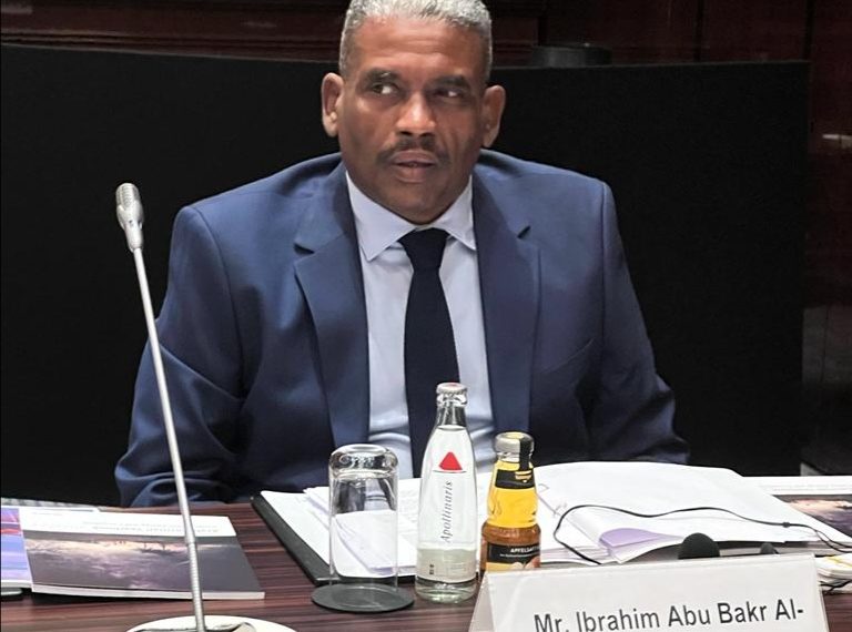 معرض ولقاءات مباشرة بين وفد رجال الاعمال الهنود  و السودانيين ببرج التجارية