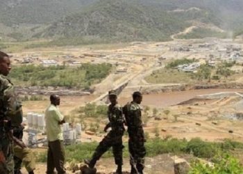 مليشيات إثيوبية تنهب إبل سودانية