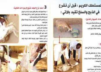 المواصفات : إنخفاض نسبة الفاقد من جلود الأضاحي هذا العام