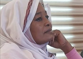 نعمات النعيم تكتب… السلام ضرورة تتطلبها المرحلة