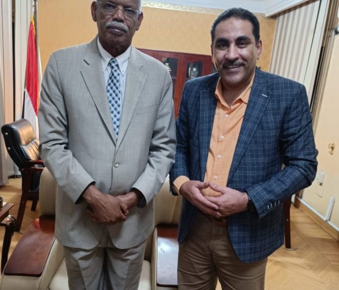 تخفيض تكلفة علاج السودانيين بمصر الي  40%