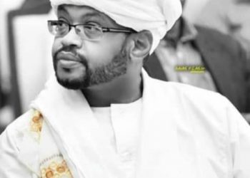 محمد عبد القادر يكتب:لماذا يرفضون المساعي المصرية