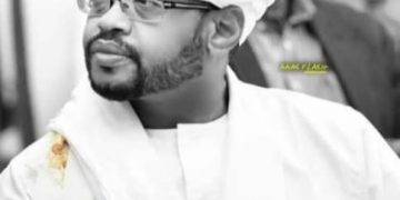 محمد عبد القادر يكتب:لماذا يرفضون المساعي المصرية
