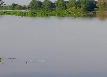 قرية سودانية مشهورة تنجو من كارثة