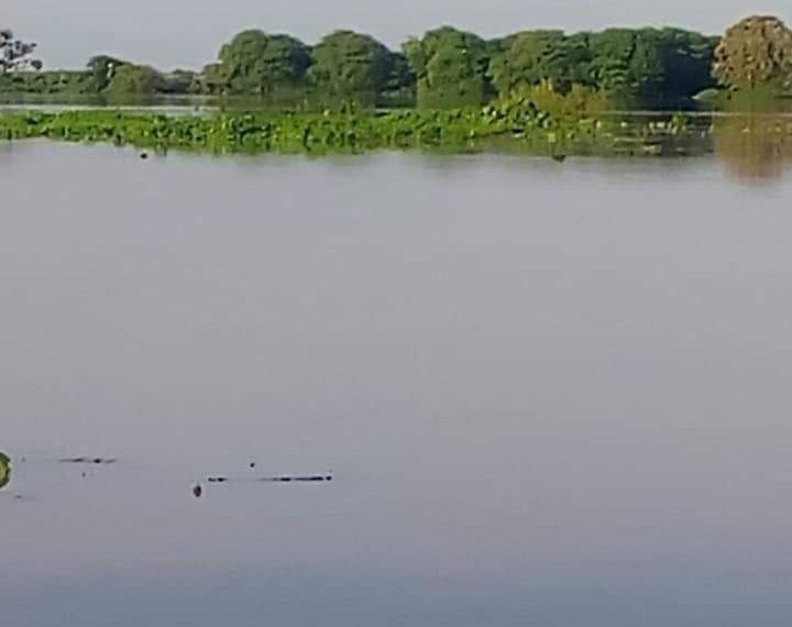 قرية سودانية مشهورة تنجو من كارثة