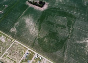 مزارع  يرسم وجه ميسي في حقل ذرة