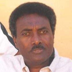 بروفسور محمد بابكر ابراهيم يكتب…. عبقرية الشريف حسين الهندى دليلنا لاعادة بناء الوطن