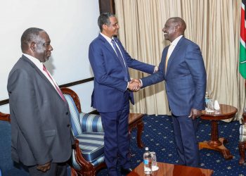 رئيس جمهورية كينيا يستقبل نائب رئيس مجلس السيادة