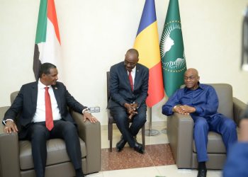 نائب رئيس مجلس السيادة يصل انجمينا