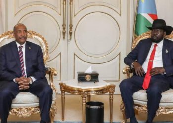 قوة مشتركة لحماية الحدود مع دولة الجنوب