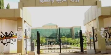 بشريات للمعلمين:  بدء تنفيذ قرار زيادة المرتبات