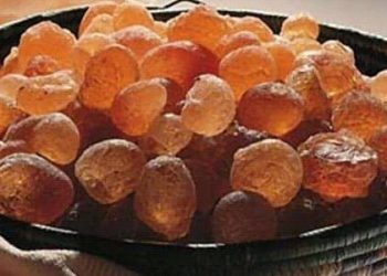 خروج 181 شركة عن الخدمة في مجال الصمغ العربي