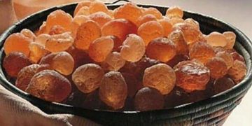خروج 181 شركة عن الخدمة في مجال الصمغ العربي