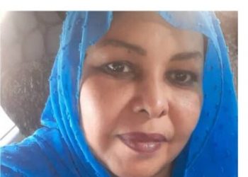 د.صفاء عبدالباقي تكتب …الاستقلالية لديوان المراجعة القومي