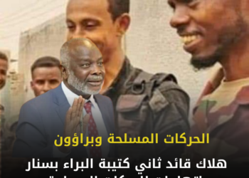 هلاك قائد ثاني كتيبة البراء بسنار واتهامات للحركات المسلحة