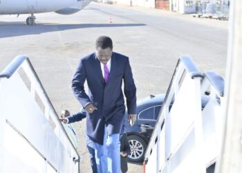 صفاء الفحل✍🏻 عندما تتخلي الحركات عن انسانها..