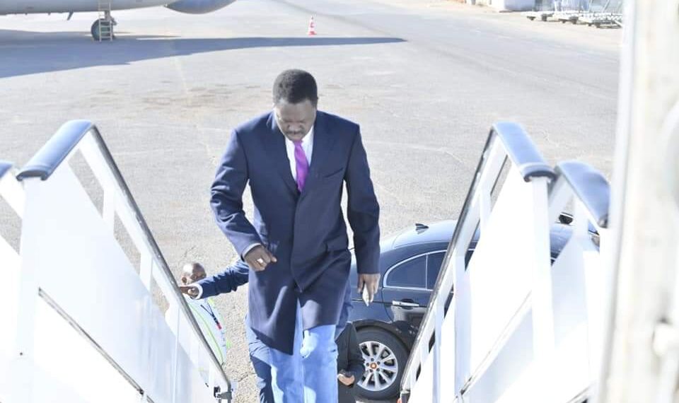 صفاء الفحل✍🏻 عندما تتخلي الحركات عن انسانها..