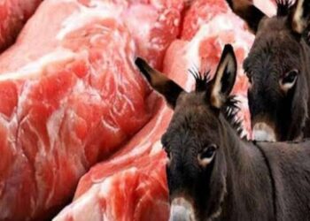 لحوم الحمير تغزو أسواق مصر بعد إيقاف صادر المواشي من السودان❗