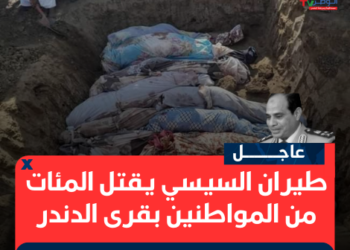 طيران السيسي يقتل المئات من المواطنين بقرى الدندر