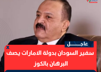 عاجل سفير السودان بدولة الامارات يصف البرهان بالكوز