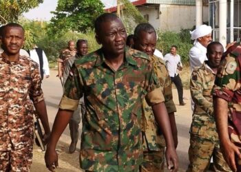 🟥 الخلافات تضرب حركة تحرير السودان جناح تمبور بسبب المناصب والأموال