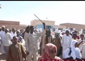 القائد أحمد يعقوب يتفقد الأوضاع بمدارس “الجميعابي” بمحلية الكاملين