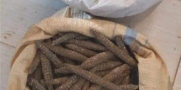 قيادي فلولي يتدخل لإطلاق سراح متهم بحيازة مخدرات في نهر النيل