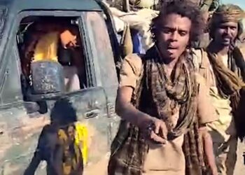 الأشاوس يسحقون الفلول في الجزيرة ويسطرون ملاحم بطولية في ميادين القتال