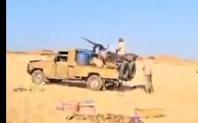 تمبول