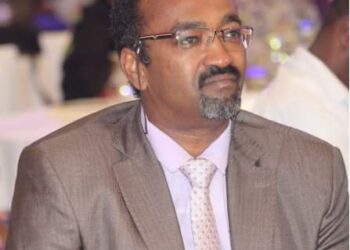 مزمل ابو القاسم