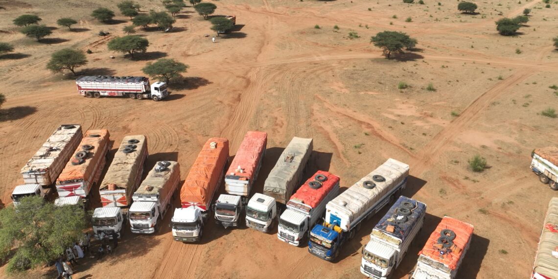 تأمين قوافل المساعدات الإنسانية أولوية قصوى لقوات الدعم السريع لإنقاذ المتأثرين بالنزاع في دارفور